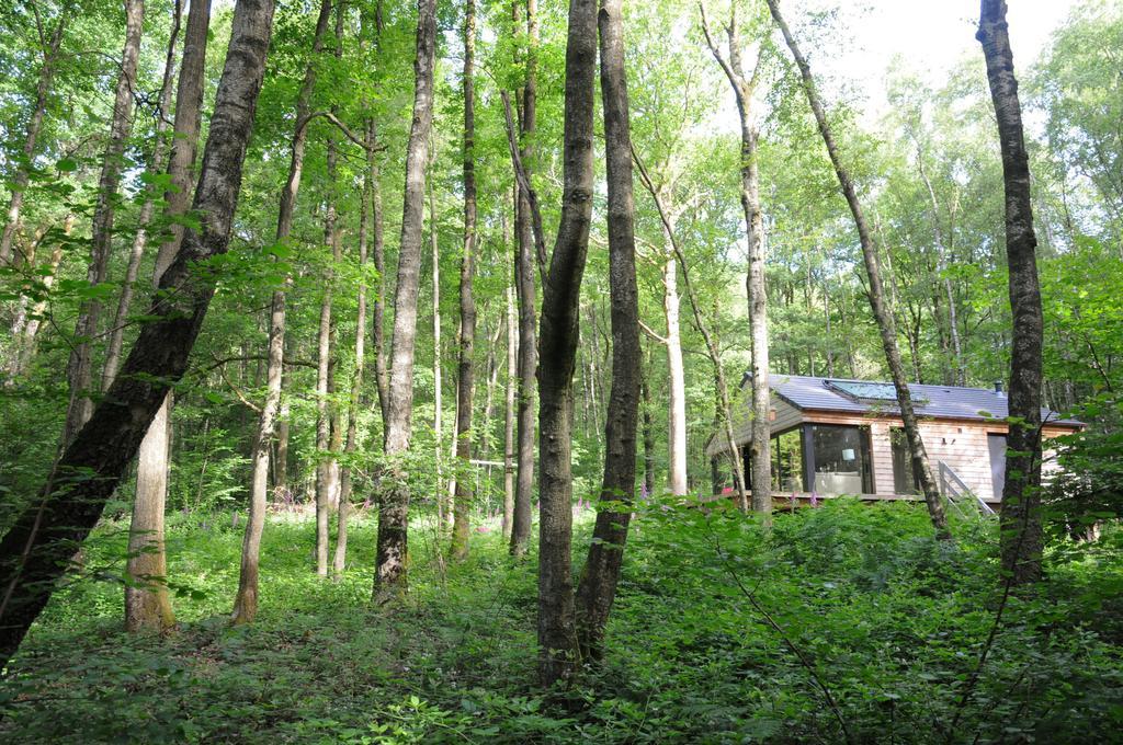 Droles D'Ecureuils Villa Les Nobertins Kültér fotó